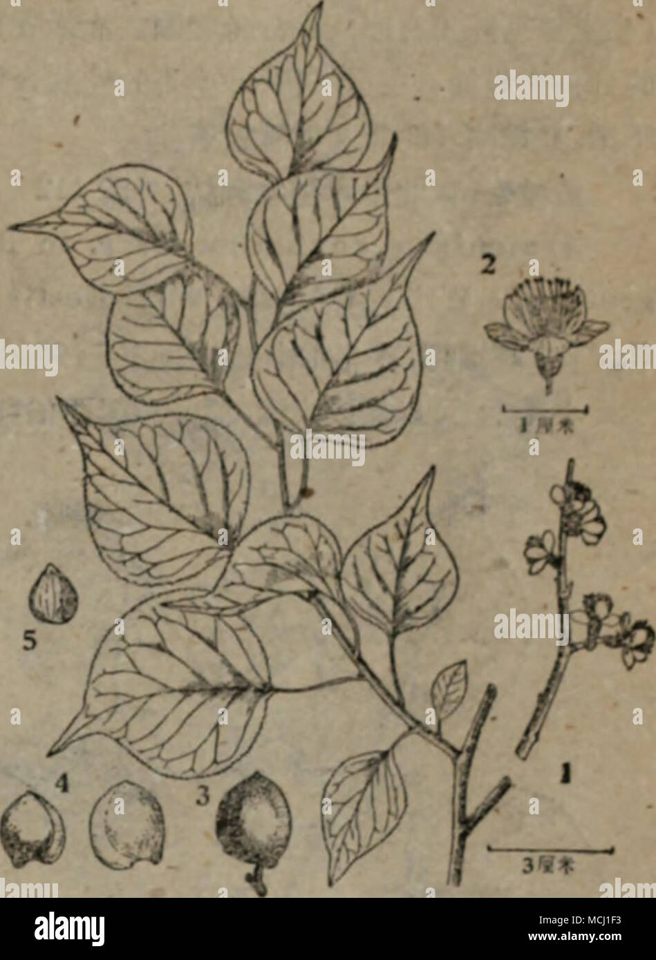 E C Ae C Cccc Ae E E I C Ae A I Ea Aee A A 3 4ae E A C Haºa Aec Cm Cia Aem2ac Aea E Ae I A Aej5ta I E 3 A 5 Gt C I I 3a4 2 Kc Eee E A E esfs 2a E 1a Ae A Ae µa A C Ae C Isc A Isfcae Ci M Kc Iwt