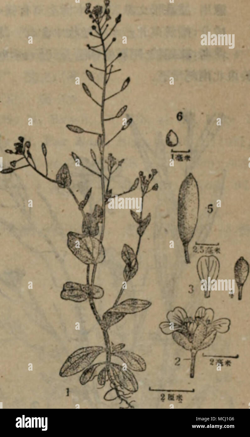 Cªc E25 º 0 E Cµ Aet Aºrinma J5 E1 A Ae I Ae A Ae E Cca Nuii Bim K C T J Rae A A Ae E 7a19ae C C E Aº Ee E Acflsjjlftla Aee La Ci Aea E 6ay Amp C I C 2 2 5ae I C E E Cc C I Ae Aeae Amp Aeee I Ae Ae A C C E Ca Ae Cªc E25 º 0 E Cµ Aet Aºrinma J5 E1 A Ae I Ae A Ae E Cca Nuii Bim K C T J Rae A A Ae E 7a19ae C C E Aº Ee E Acflsjjlftla Aee La Ci Aea E 6ay Amp C I C 2 2 5ae I C E E Cc C I Ae Aeae Amp Aeee I Ae Ae A C C E Ca Ae