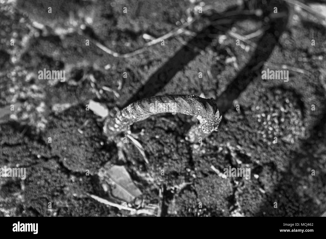 Clip Rusty pour de vieux morceaux de béton avec moss, extérieur arrière-plan. Banque D'Images