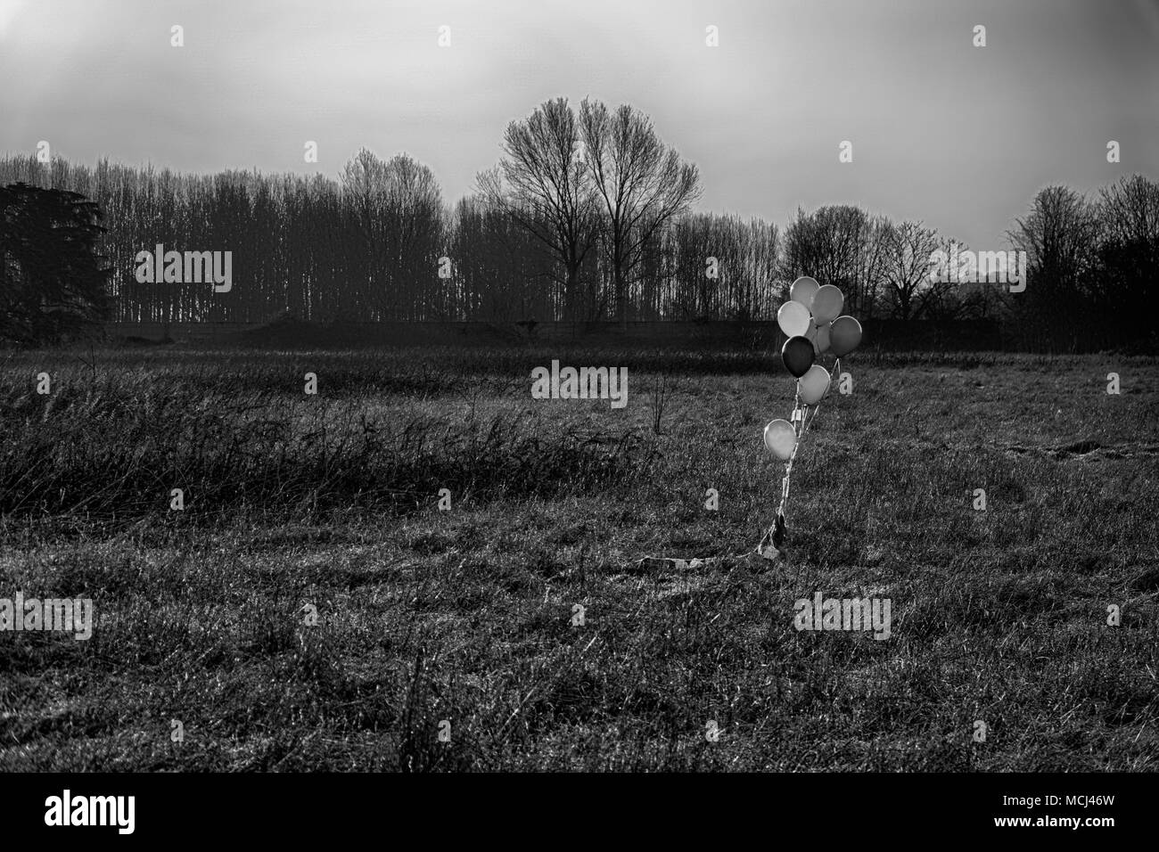 Ballons colorés dans le domaine de l'automne. L'humeur, drôle à se préparer à célébrer l'événement, maison de vacances ou d'un parti. Banque D'Images