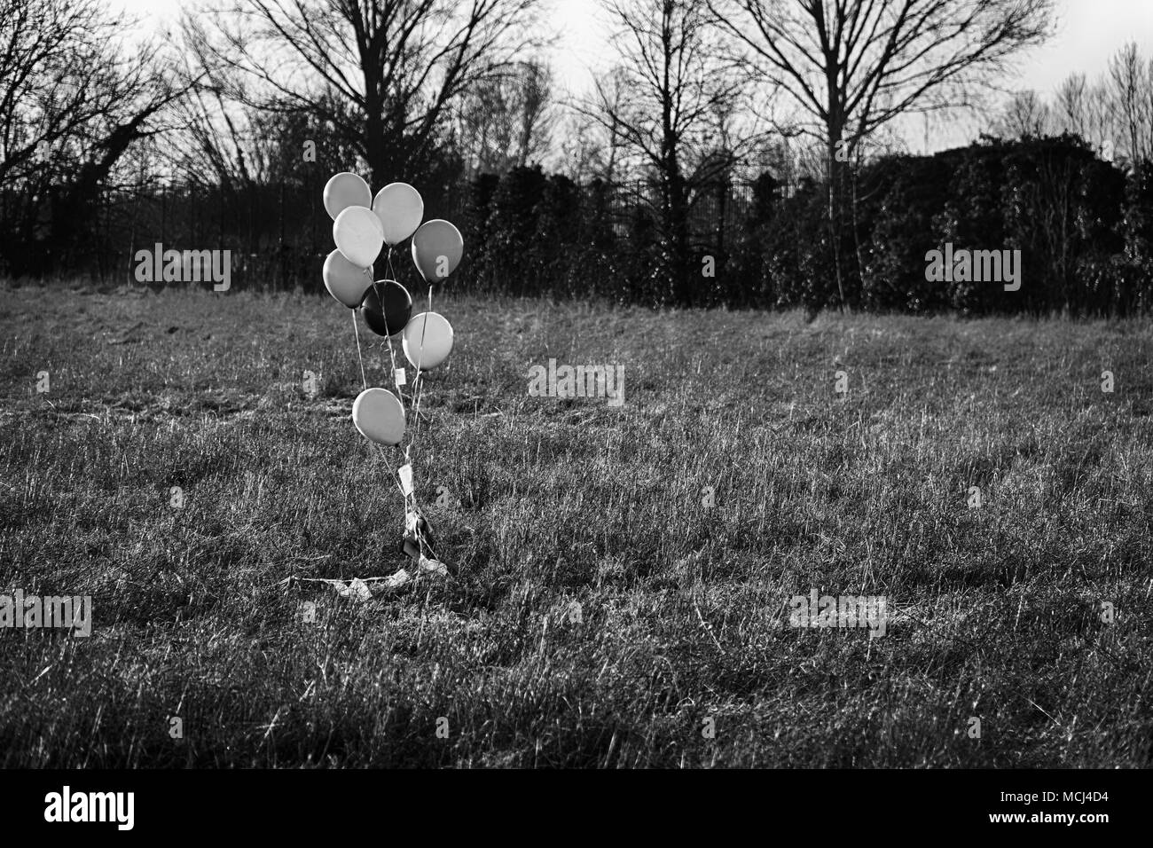 Ballons colorés dans le domaine de l'automne. L'humeur, drôle à se préparer à célébrer l'événement, maison de vacances ou d'un parti. Banque D'Images