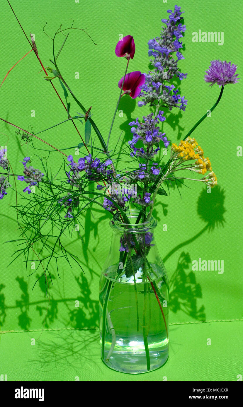 Un vase contenant une sélection de fleurs sauvages et cultivées dans une bouteille de lait sur fond vert Banque D'Images