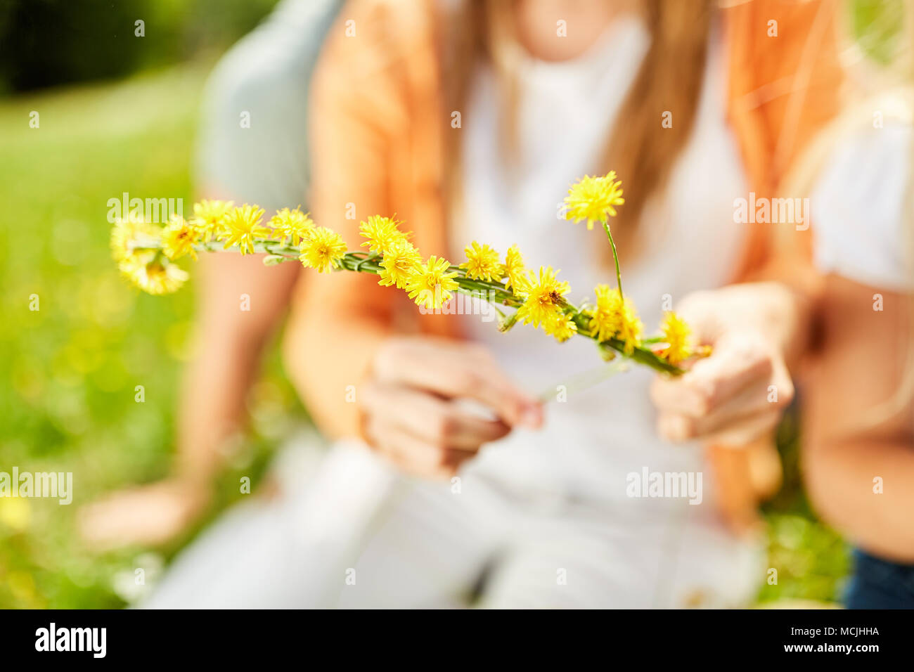 Arrangement floral de fleurs de pissenlit jaune comme un accessoire de cheveux Banque D'Images