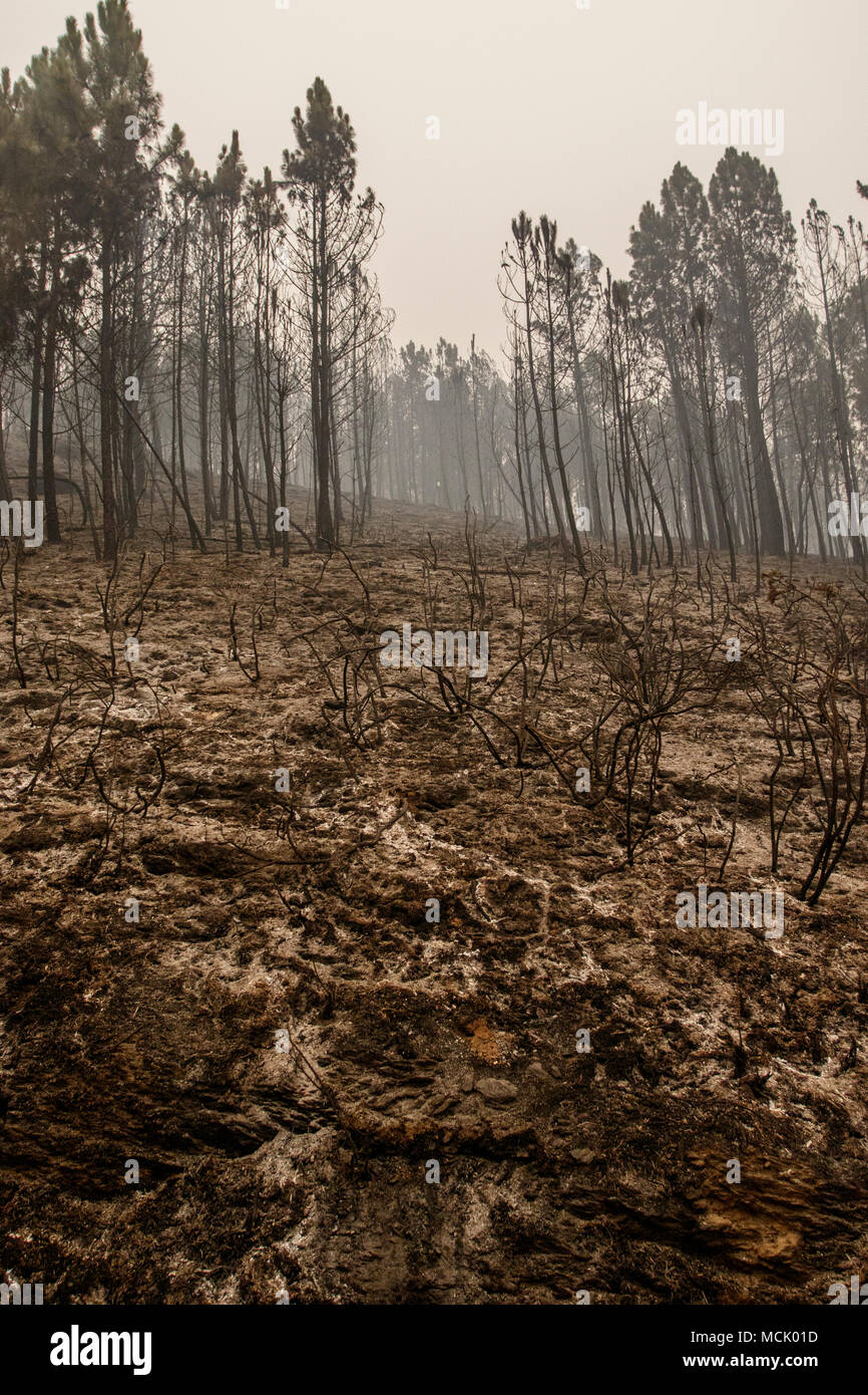 Maceda, Galice / Espagne - Oct 16 2017 : feu de forêt. Banque D'Images