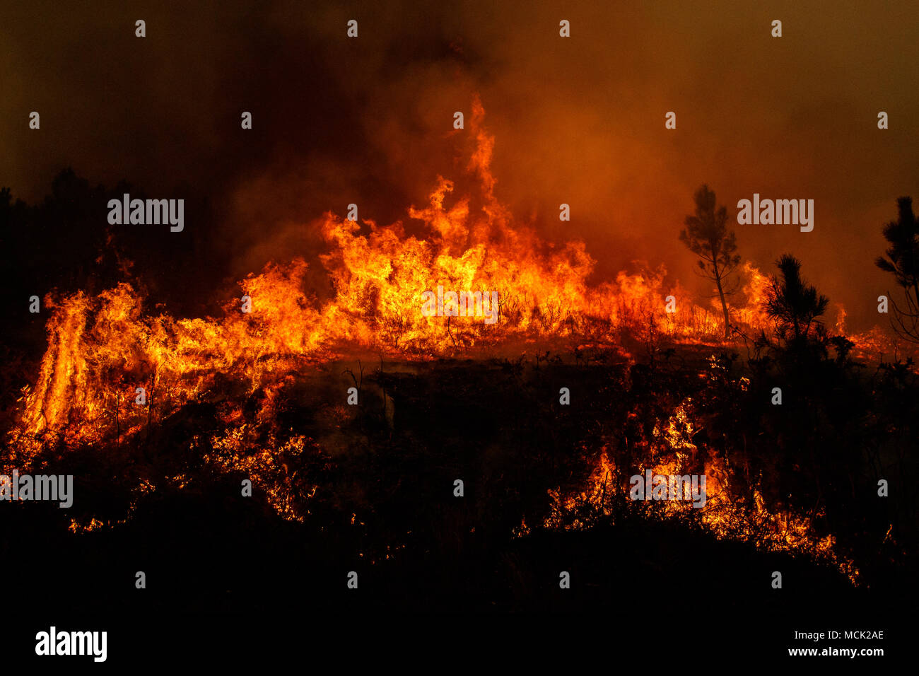 Maceda, Galice / Espagne - Oct 16 2017 : feu de forêt. Banque D'Images
