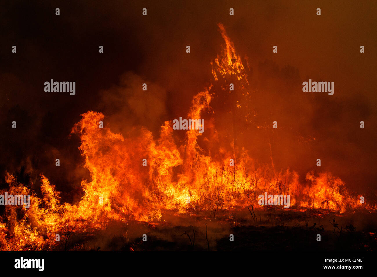 Maceda, Galice / Espagne - Oct 16 2017 : feu de forêt. Banque D'Images