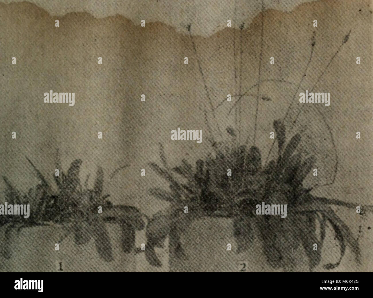 . Kroměříž21å ç¨åå¹å Itå "ä'-¯¹Ae¡⇨¶ç©®ªåè²Çå½ Åï¼åå¾ï¼¯±1å ¹ç §§aeåç,kroměříž®STtç» ¨è çå®å¥å æ¶²Ï¼Ae aeï¼ «2å,aeé ççç¼½ä ï¼ae ¹Çäº§'-éä¹é¨ae¾å äºã« Å°æ§§çä ç'å¯¨çåºï¼å" ä¥æ©¡¶èçé çåå¿⇨§µï¼å¾¶æ®é22) ä"¥åå çae¨¬¬'"çç'äºå¹ Ï¼å¾¿äººååå É³çè23)'¶¶fiãåå çç 5å®ç æ¤§ç©ä'æ ï¼é³å åaeµéå¨¤·è±åºä'-kroměříž24ã 25ä'¤ae¾å å¼°æ§§çaeç¤ºç³ ç"æ° åae ççè±è±©¡¶èae¤⇨ ▪¶çãå ae çå¨å¾ä¯å ä"¥æ·'æ°å° çåºé³å¨¶å çä'-çå¹·ä'ç'åçåå¶ ^ã ç'aeåç äºå¨å¹'çae çae ½è¨¶éå©¦é©ä'-ç ç©¶äºae¾å§Å°æ ç¨ ¹Ç³Ç¯å"¡çèãè¿¶ååå è å®ç§ä½ç çäº§éä©"¥åå ¶ä'-ç³éçå½ Åãae¾å«§æ°±å ç"¨çä½ç¡çç ç©¶¯¨å æ æ®æ¢Å°¼Ä¯¼Ae"Å°å¤ ¨å å"è¥å æ¶²Å¹ "·å¢ae½åç§ kroměříž®éå çç ç'¯å¢ä'-¡çãaeªae½ae¾å¿è è°æ§å ç' çae®æ¢Å°¼Ä¯¼Ae"Å°å¤« ⇨ severnãƒ¶²Ç "å æ Banque D'Images