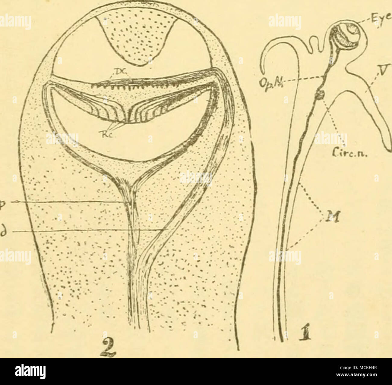 Rc N Banque D Image Et Photos Alamy