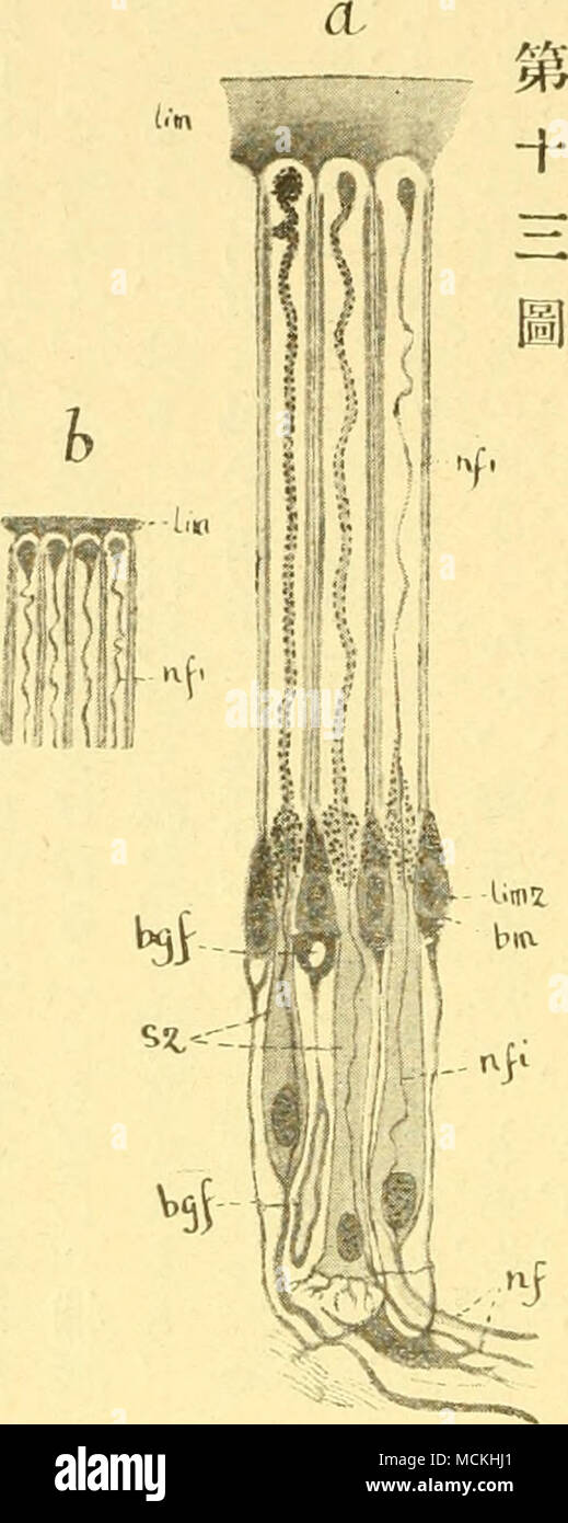 Pe E Ea E C Ae A A Szae Eaiulzlcec C Elimace Cfiac Ac C C Ae C A A E 5 Ac C C C A A A Aeµ A Ae Ae A Ae Ea Ae Ae E E E A C Ea ºla C A A Aec A A A A E aa A A Aeaea A Ae ae Aeµ Ae E A Aea E C Eac