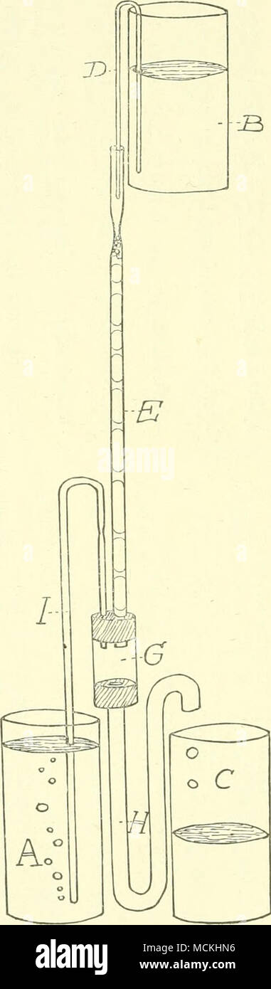 A Ae E I So Wemto Tiaeorien Wel Tln Sind J3aaen Wenifr Sind Die Tatsachen Werth Zusammenban Lieeren Los Nebeneinander Ahne Toieldt Mi Hypothese Theorie Naturforschun Aaa Es Keine Welslnadn A Aºaªaaeºaªaaac A A C Aºaªaa Aaaºa A Aa E A A