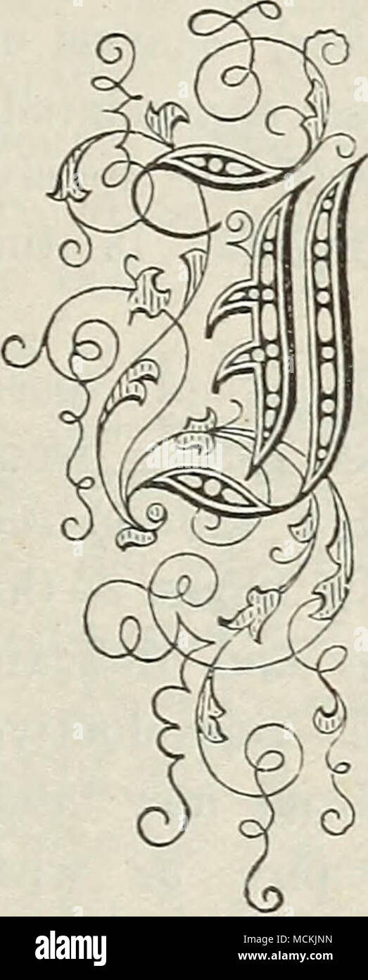 . N cet âge. lorsque les moyens des droits de jouissance ont beaucoup augmenté, et une diversité de plaisirs purs et d'élever le sentiment d'attendre chaque amoureux de la nature et des arts fleurs sont devenues un luxe indispensable. Car, comme il y a un co-rapport et l'harmonie de la fac- ulties ; et une éducation juste exige que la culture doit être de 5|-verso ; alors un goût pur et élevé néglige aucune forme de beauté, naturel ou artistique. Il est dans tous les esprits bien équilibré une passion pour le beau, et cette sensibilité naturelle réalisé par l'éducation et conçu par le ministère de l'objets sympathique, con Banque D'Images