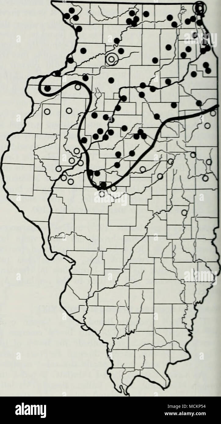 . Fig. 4. - Distribution de la couvée du nord de l'Illinois (Marlatt XIII) des cigales dix dans l'Illinois. Points noirs indiquent les documents positifs d'adultes vivants, peaux, des trous dans le sol, de repérage des branches d'arbre, ou le chant. Imlicatp cercles notes négatives dans les zones minutieusement fouillées. Les produits 'au sud de Springfield et bois près de moi- chanicsburg ont montré aucun e  %'iance des cigales (sped- niens, chant, skins, ou des trous dans le sol). Au cours de l'année précédente, 1972. Le Grand Sud Brood est apparu dans ces bois {A. L. Koelling communication personnelle, 1973). Au Springfield et Mecliani(. Banque D'Images