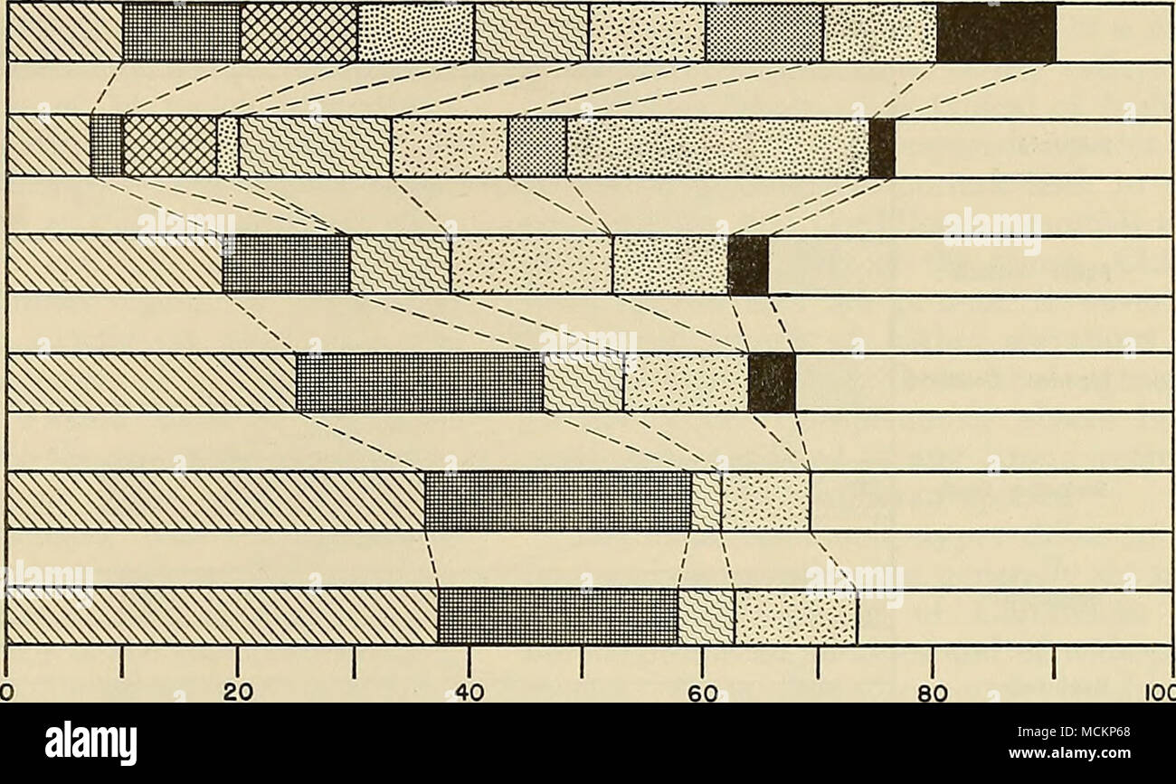 . Pourcentage cumulatif COMPOSITION Fig. 131. Pourcentage cumulé de la composition de l'organe d'Coloradan mammifères des zones de vie de chaque attribut- areographic élément faunique. Les espèces de Chihuahuan abandonnent, et highland types, en particulier ceux de l'Boreo-cordil- leran, un élément de preuve de l'importance. La forêt de conifères "ferme" à l'interface entre transition et la vie canadienne-zones. L'Hudsonien et diffèrent dans les zones de l'ab- sence d'Coloradan Elé- ment dans la zone supérieure et l'proportionnellement une plus grande importan Banque D'Images