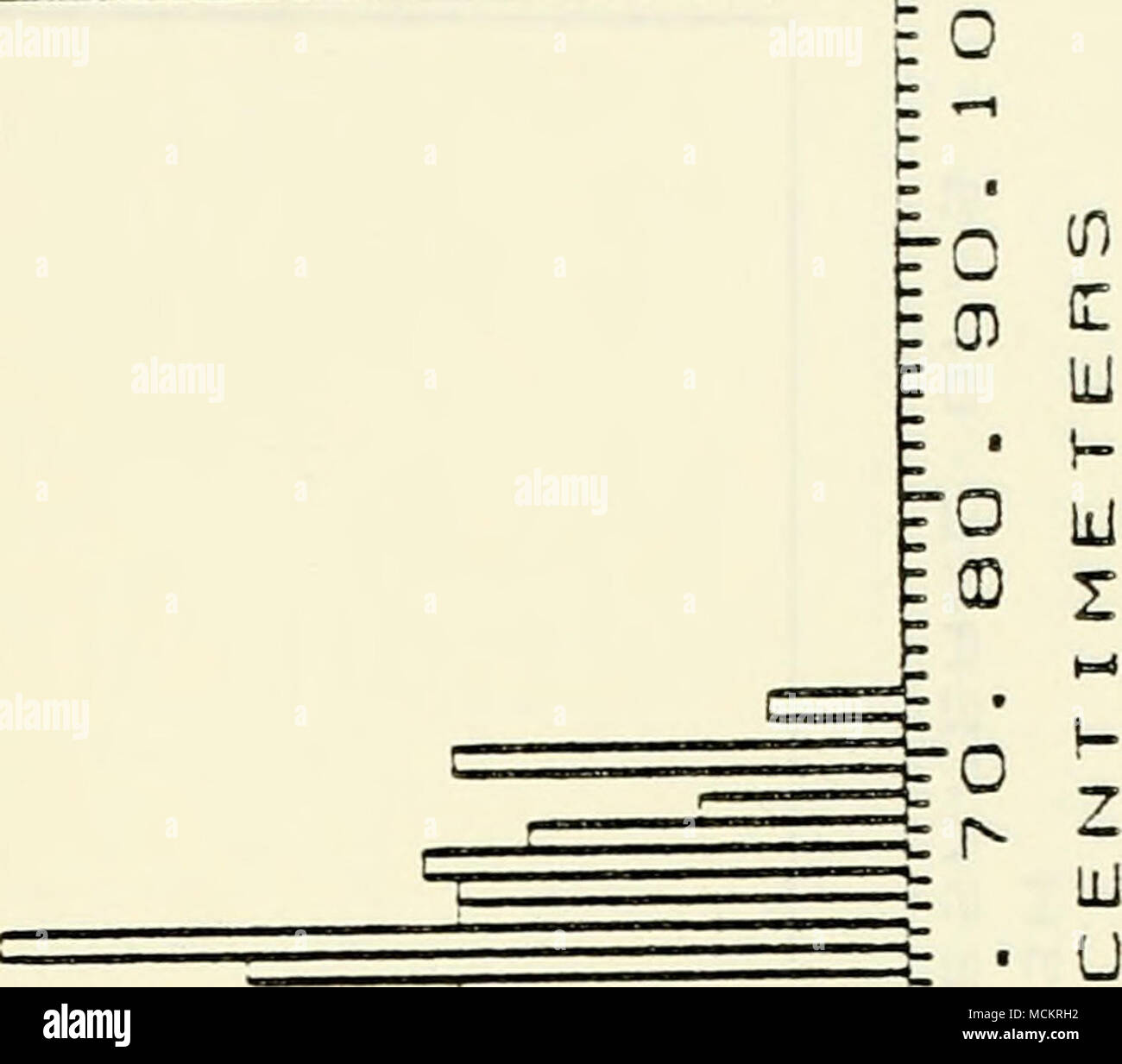 Aiar Naiar J I 1o Cm Ld En Ro A A Ld O Cd D1 E D 1 Cm C 2 J Gt Lt Lu H 70 Z