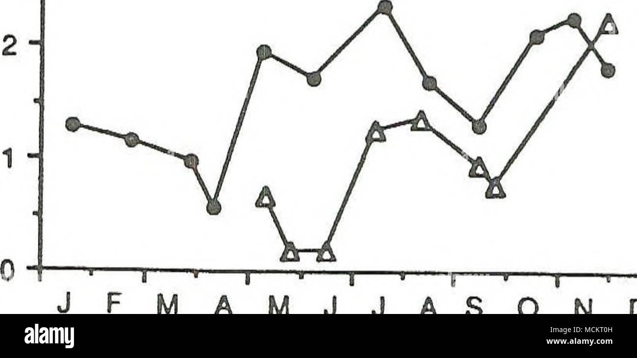 . W M J J A S O N D Mois Figure 22. L'abondance saisonnière du macrozooplancton dominant au nord et Mid-Lake Mid-Lake stations profondes dans le lac Flathead au cours de l'année 1988. Des densités de MLD ont été calculés en additionnant les distances de 10m de 50m à la surface. Densités à MLN ont été calculés à partir de 50m de distance de la surface à partir de janvier-juin et novembre, et sur les autres dates en additionnant les distances de 50m de la thermocline et de la thermocline à la surface. Banque D'Images