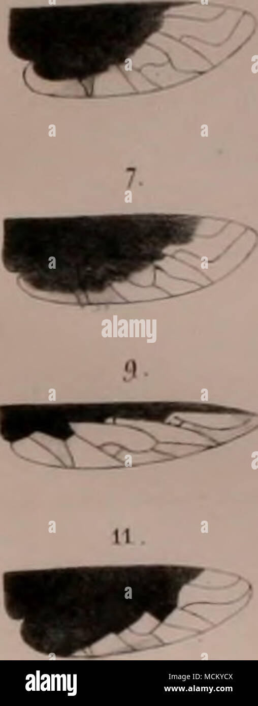 . L -si -â*" !'" Banque D'Images