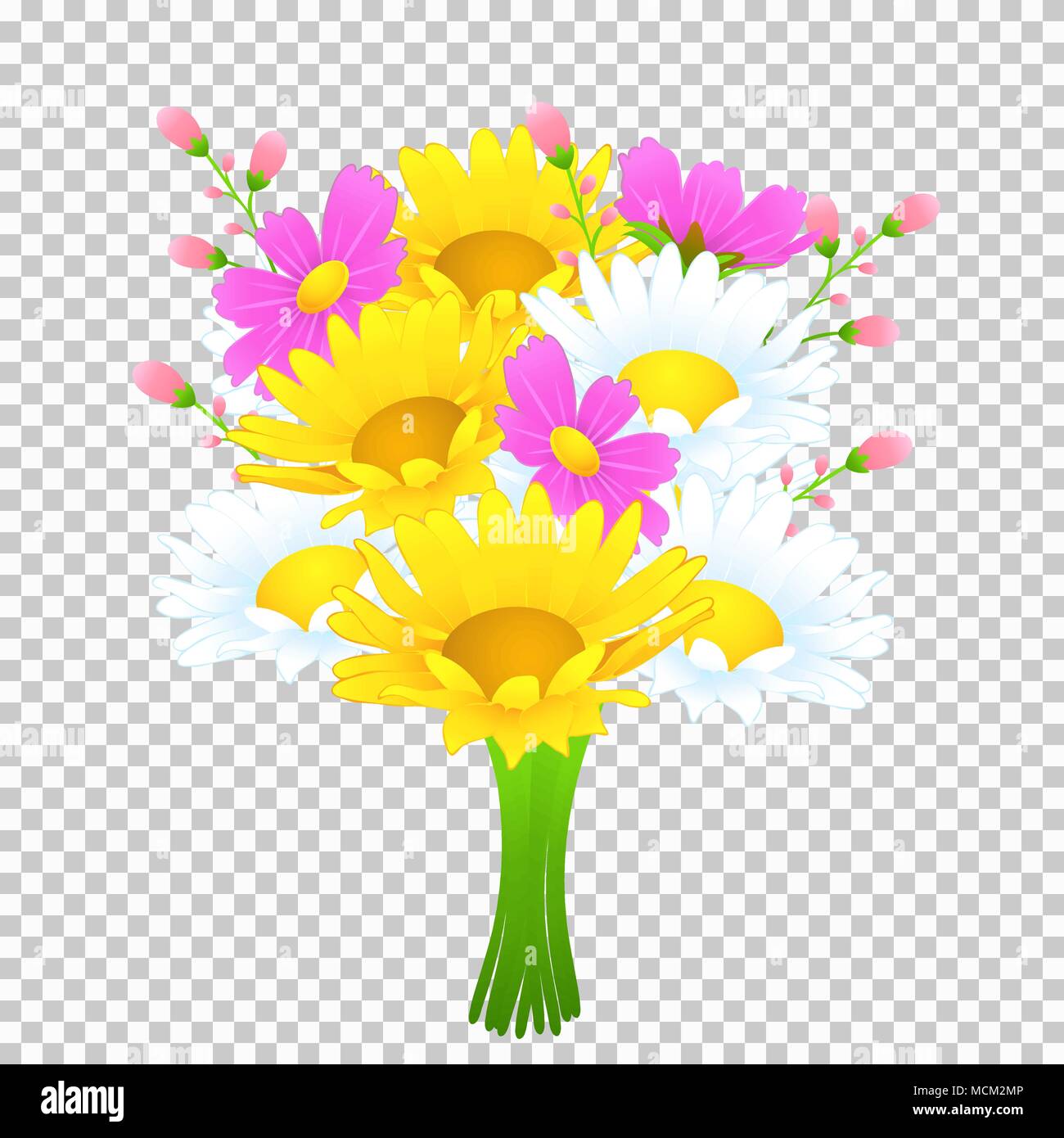 Bouquet De Fleurs Aux Couleurs Vives Dessin Vectoriel Bourgeons Meadow Lumineux Jaune Et Blanc Camomille Cosmos Fleur Rose Et Tiges Isole Sur Un Transparent Ba Image Vectorielle Stock Alamy