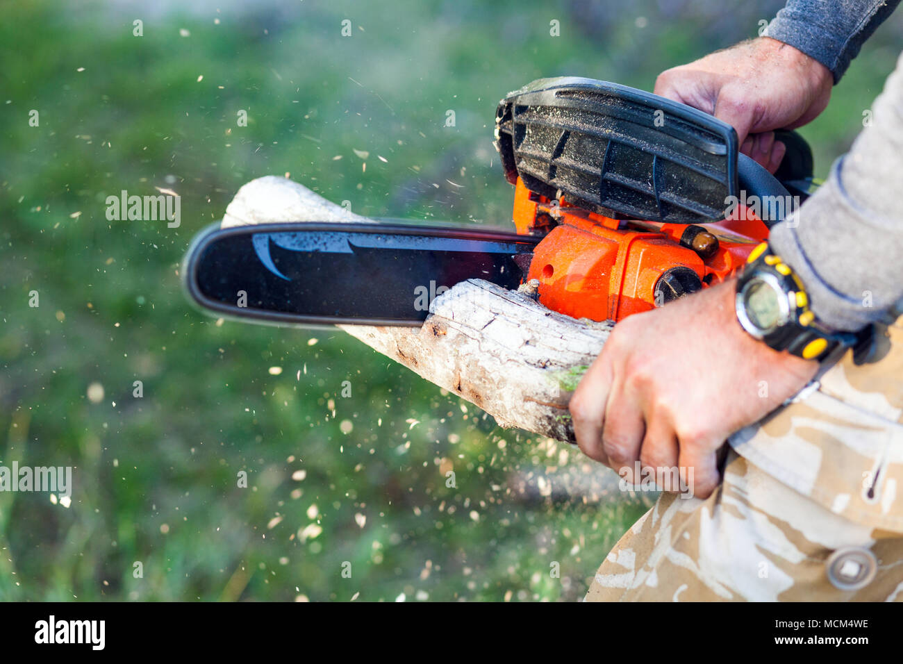 Homme à la tronçonneuse à essence de bois de feu dans les forêts d'arbres Banque D'Images