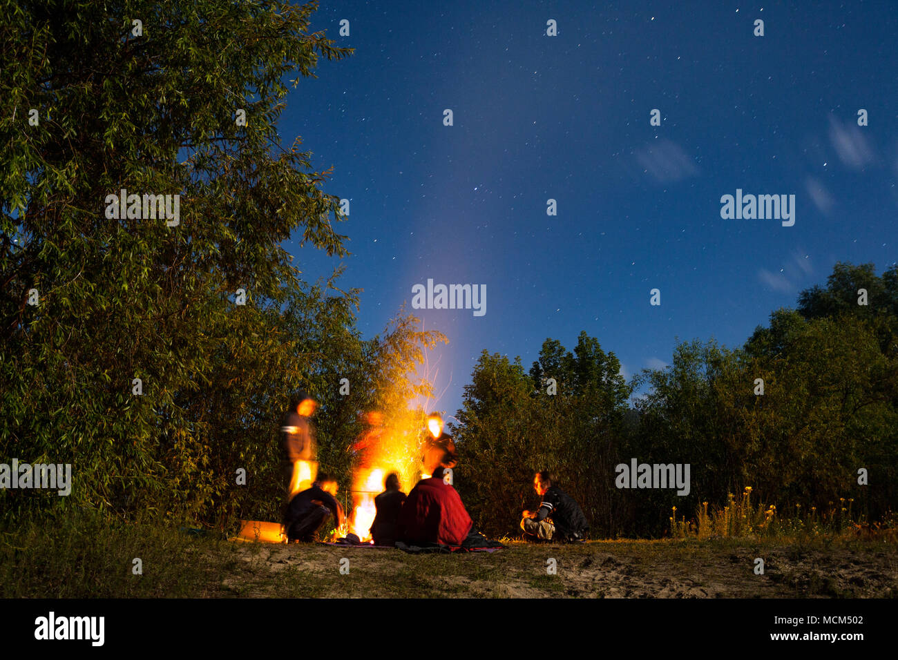 Homme à la tronçonneuse à essence de bois de feu dans les forêts d'arbres Banque D'Images