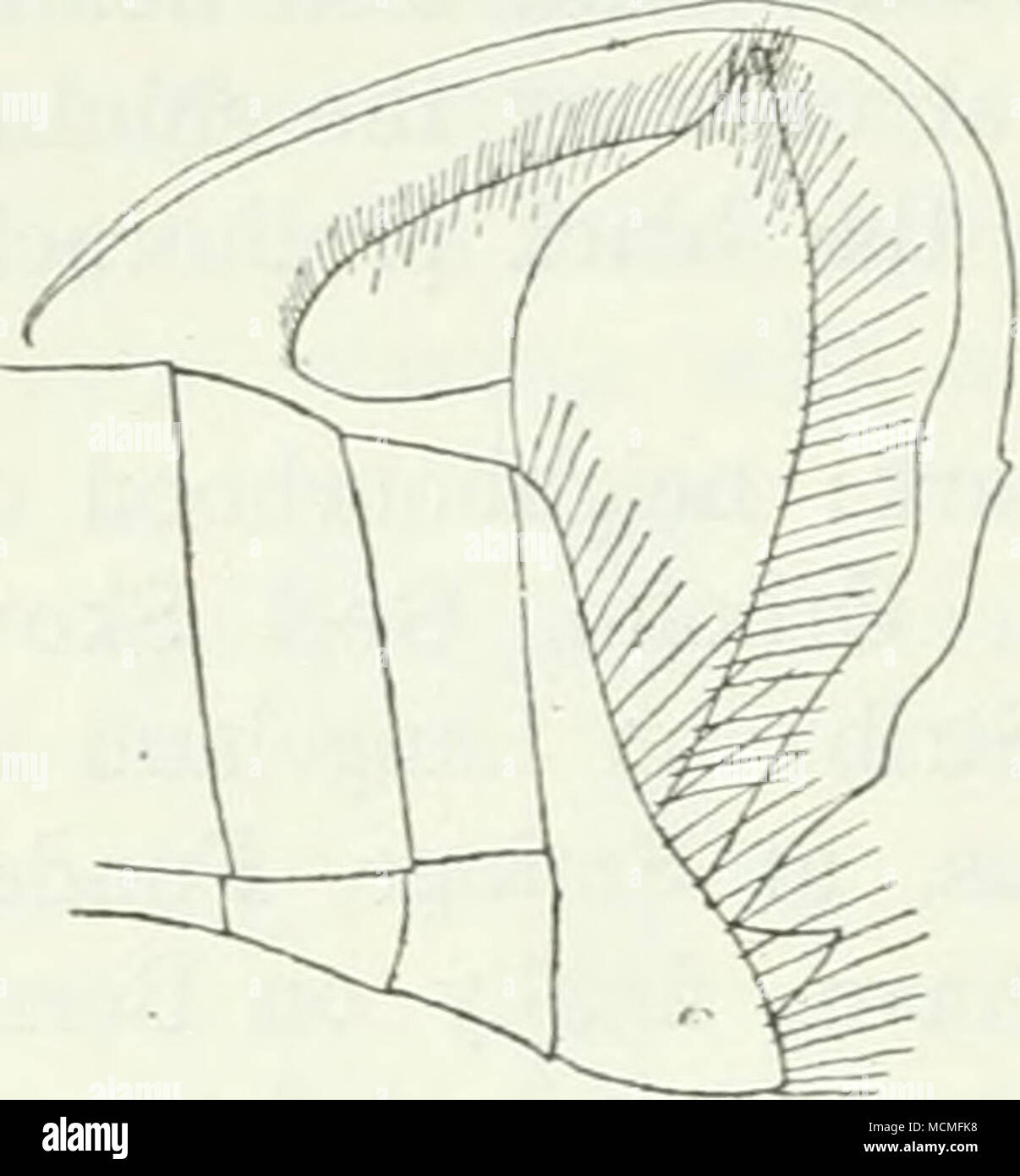 Further Behind The Front Photos Further Behind The Front