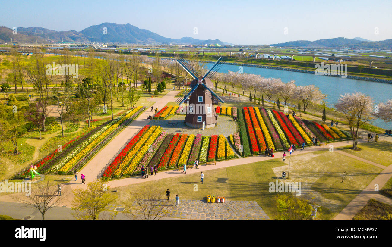 Vue aérienne de la baie de Suncheon Suncheon dans le Jardin international de la ville de Corée du Sud. Vue aérienne du drone. Banque D'Images