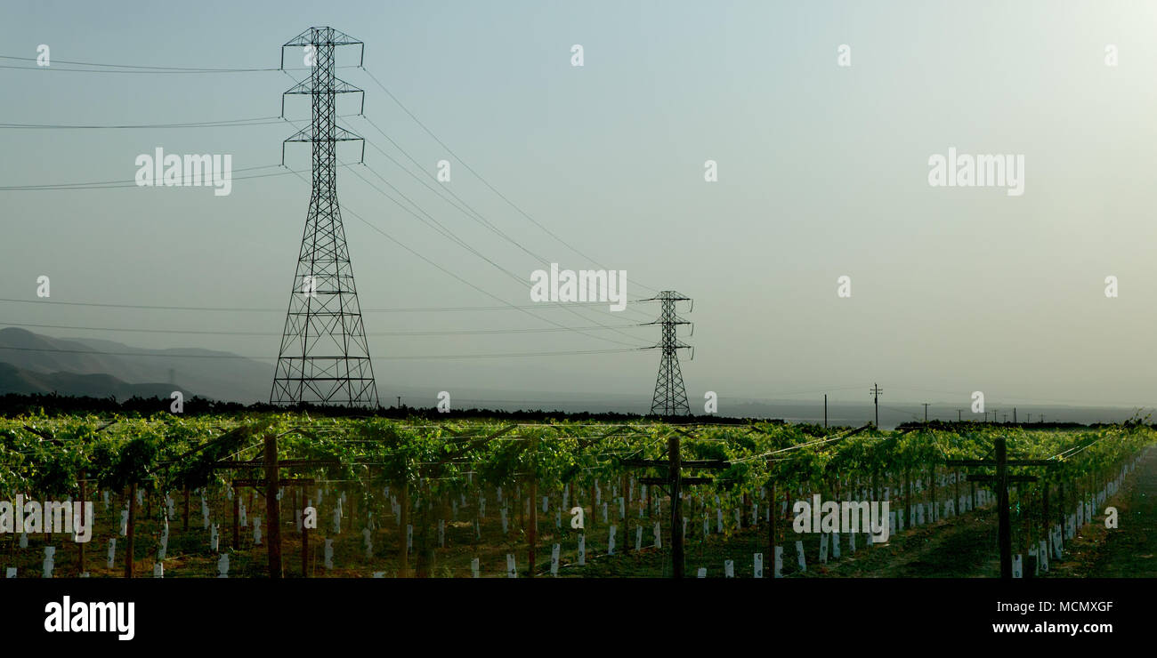 L'agriculture et de l'industrie côte à côte dans la vallée de San Joaquin / Central Valley, Californie, USA, où les pylônes tower sur les cultures alimentaires Banque D'Images