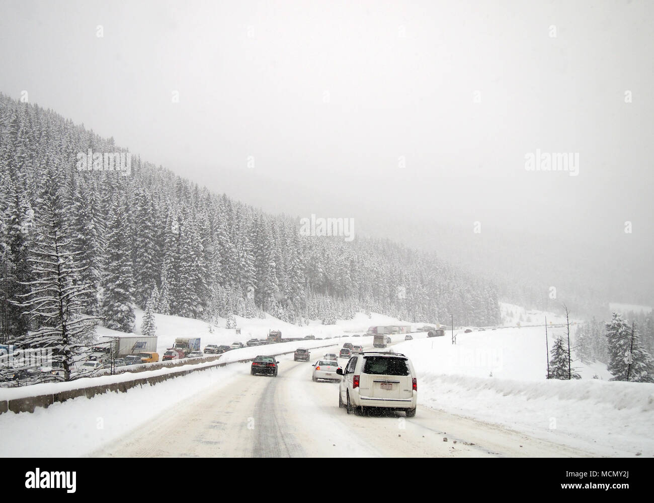 Au Colorado, la route couverte de neige Banque D'Images