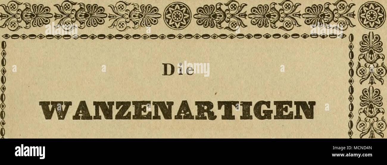 . ARTIGEN m WANZEN -Â"&gt;â ¢{Â Â"â"- Getreu nach der Natur und beschrieben abgebildet. &Amp;i i (Fortsetzung des Hahn'schen Werkes.) M. G. A. W. Von Herrich-Sch¤Ã vcree. Je l VierterBand. FÃ¼Nftes HeftJ^Ã'^-9J2. () Ausgemalten Tafeln Mit sechs fein. 1 ^^^^^»»»^^^»^^»^^^»^^â"^ NÃRNBERG j* JE, |Â" l dans der G. H. Zeh'schen Buchhandlung. * Rii^ 9 Banque D'Images