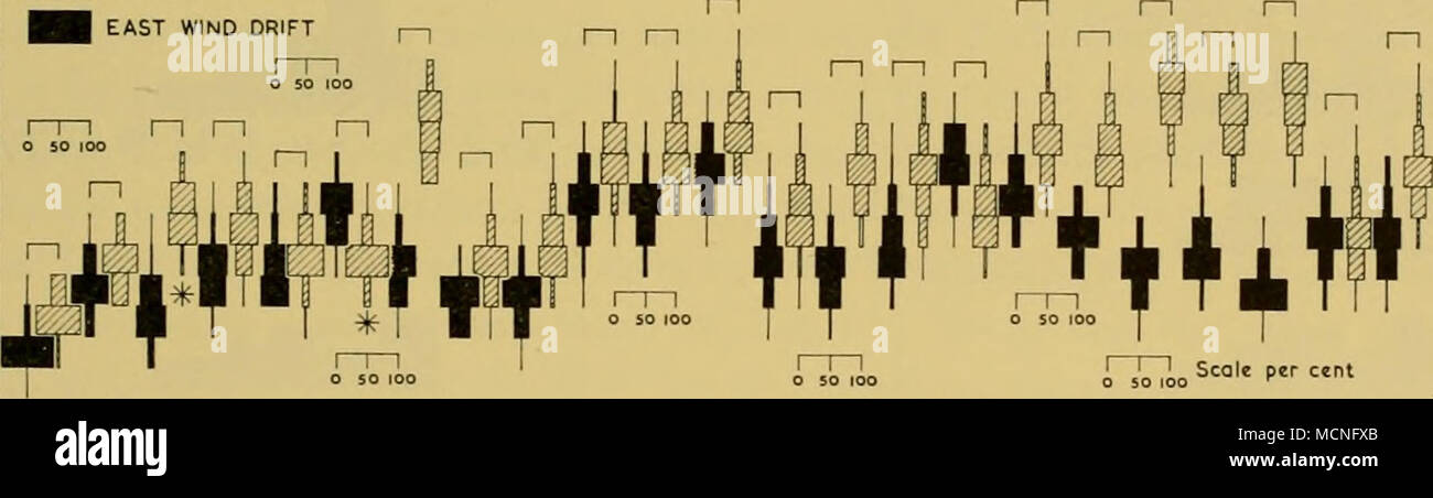 . (0(0 (0(1) (0 (I) (2) (2) (2) (2)  % (0 (2) (0)0(0 121 JE570 1637 256 46 61 174 245 345 205 186 82 200 85 146 75 416 269 100 ISO 52795 lOO 31010057189 379 325 20 522 818 35 517 lOO lOO lOO lOO 100 388 176 231 102 63 84 lOO 66 64 60 55 POSTE 52 48 44 40 36 32 28 24 20 16 12 8 N ?AME- -^ URED DE L'échantillon de l'Essaim observé fig- 57- l'état de développement de l'adolescent d'essaims dans l'est la dérive due au vent, montrant l'état correspondant de l'adolescent dans les essaims à la même dérive de Weddell, ou environ le même, le temps. Remarque échelle verticale à 4 mm. des groupes, p. ex. 20  = 17-20 mm Banque D'Images
