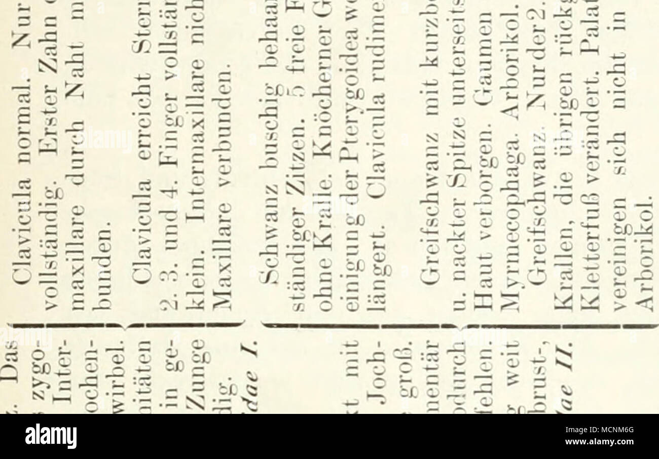 . O â 1 r&Lt ;  =55 C  -r ^¶Ã je oL -  0 O â - ; K . e, c ^ J2 â â ¢" ^ Ã 5 sf-E Â" Ã¶*- S Â"^ â ' i c o Â£  l'^^^' J - J  .1 -^^ « S '^^ ; ! J'ai G, I a. o ^ ^ â ¢ 3- Je suis p ro â ¢ c- ^ &Lt ;&Lt ;  = !  = . k5 "k S  = -Â ¢  = â¢$ 2 5 2 'E 'i J ^ ^ s i f' - Restaurant à r  =" ii r "S -w s2 nS 5:0^-3 " ? J'bÃ¼ .ITT-g -H  =^^ »  = 25 â ¢^-  =  = -  = e -Â ¢ :   ^j r*-'-^ » : ; ::â â â *j ^ S -3 r] 4 ; 0/jJ-l -J[J ? ^'  = oT Ol r^ â 062 J£ 1^ tjg  = XL-S"--^^&gt ; â â   r - ^^ - SJ -- iÂ£ 5 I P ^ ^. -R o â â¢- - 5 c  = -5 ^^ ; t  = - &gt ;-o -^ -C &gt ; ,, ? Oa â - C-^:S j O^^£ bÂ â ¢/.  = - Banque D'Images