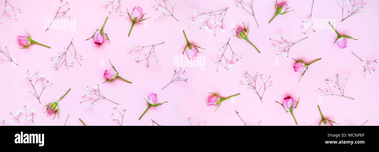 Vue de dessus de roses roses sur fond rose. Abstract floral bannière. Banque D'Images