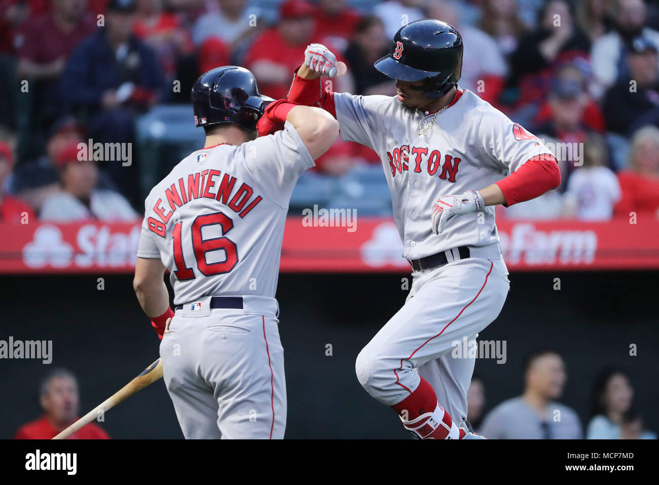 17 avril 2018 : Boston rouge Sox droit fielder Mookie Betts (50) reçoit un coup de coude le voltigeur des Red Sox de Boston (16) Andrew Benintendi après Betts perruque en première manche dans le match entre les Red Sox de Boston et Los Angeles Angels of Anaheim, Angel Stadium d'Anaheim, CA, photographe : Peter Renner and Co Banque D'Images