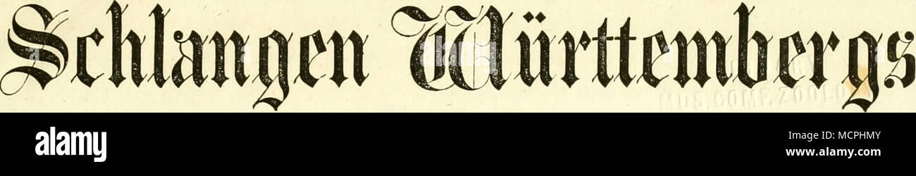 . Für Innt)ss)trtl;j(^aftlt gortbiIbuugö^c( = iinb 51knbf uleu(^icalanftalten loteinifc, 9e^teartcitet, j ?Dn'Ivie) ifvifü^ ; 0 d), l'e^^j rer dans l'nteriuicf Äcnii^ireicß gi) äßiirrtem&amp;erg. 3Uit fec s Cafctu lüOiföimgcii§^dans tfurßciiörucfe. ©tuttgttrt. 3&gt;crlai3 ber 3. 3 ?. 9) ? C ^ (ci'f *cii S ?ii * fMinb lu ng. 1862. Banque D'Images