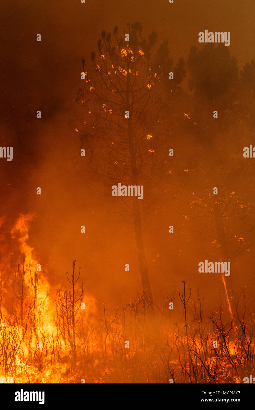 Maceda, Galice / Espagne - Oct 16 2017 : feu de forêt. Banque D'Images