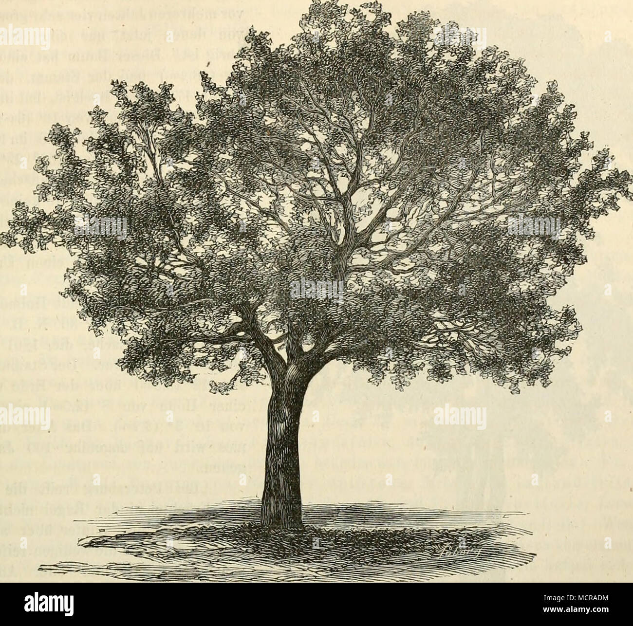 Kirche Damals Banque D Image Et Photos Alamy