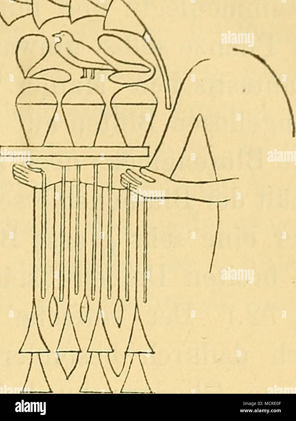 . Fig. 48 : Lotus- Fig. 49 : Opfertiscli- Fig. 50 : Ein Diener trägt Gaben blumenstrauss mit eben, darüber Lotus en zum Opfer berbei. Tbeben aus. Un Füllborn Papyrusdolden.. Von (Champ. IV, 368.). Tbeben aus einer Säule der grossen (L. D. III, 78.) Säulenhalle zu Karnak. Banque D'Images