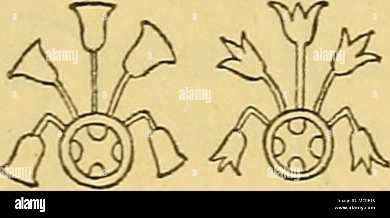Fig 27 Papyrus Otusdingzei Undl Chen Mit Eeldplan O A I Ir Fig 28 30 Lotus Ding Z Eich En Photo Stock Alamy