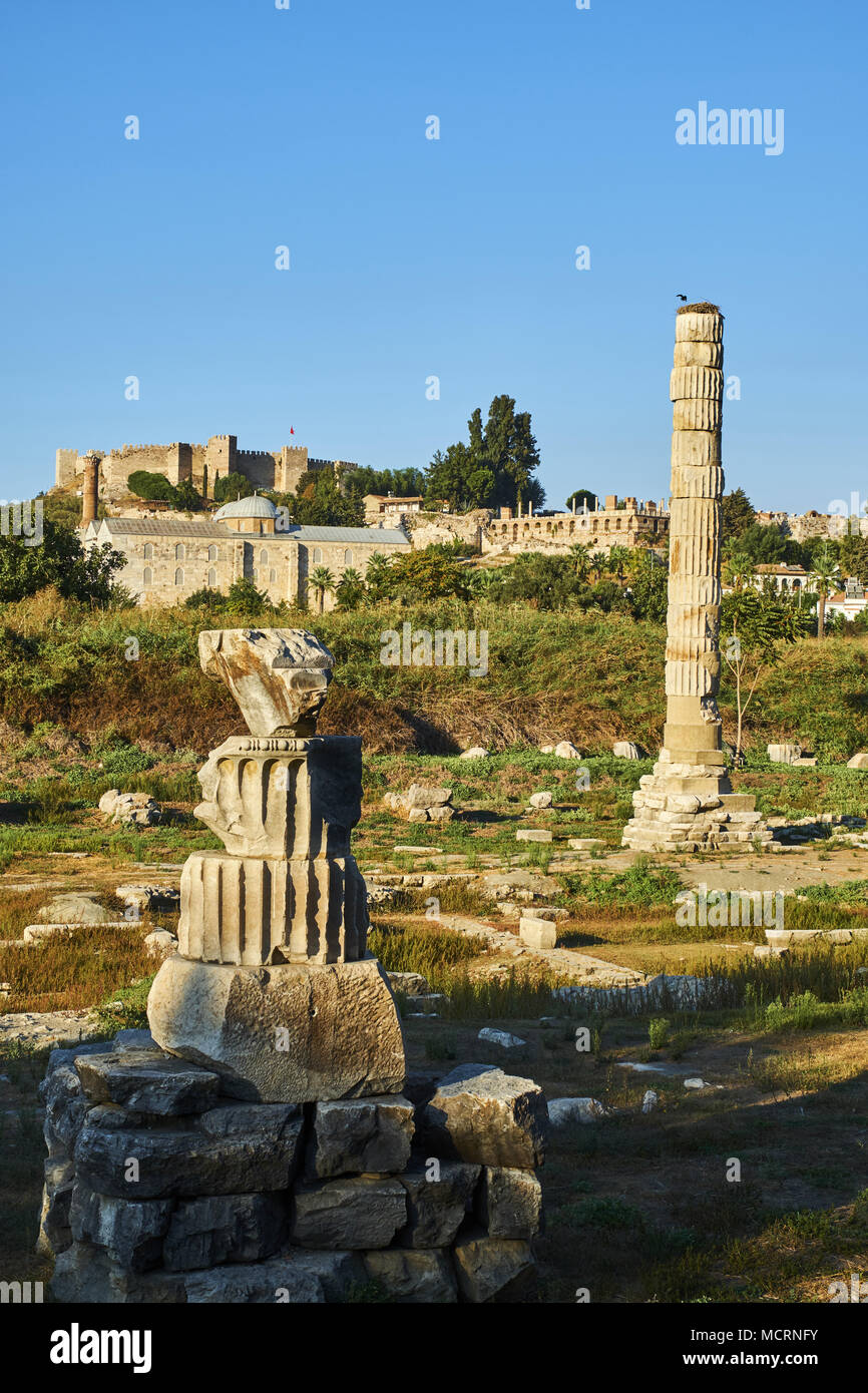 La Turquie, Izmir province, ville de Selcuk, site archéologique d'Ephèse, temple d'Artémis Banque D'Images