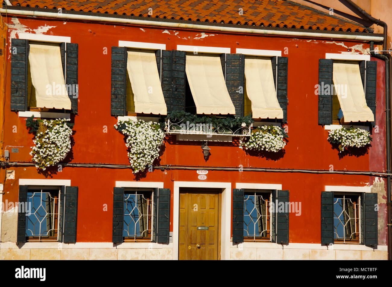 Bâtiment rouge avec des fleurs blanches à Venise, Italie Banque D'Images