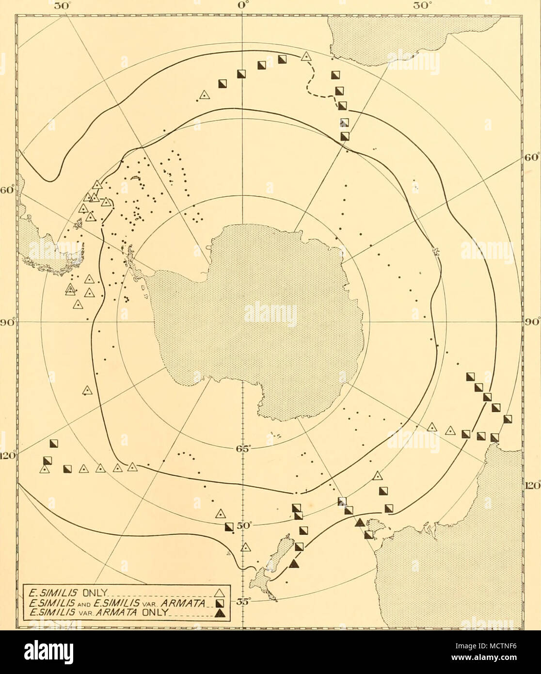 . F.P/M/G/S Dhiiy ESIMILIS UN ET F.SIMILIS var ARMATA B F.P/M/G/S -j^  150 R ARMATA SEULEMENT 180°ouest à l'Est 150° Fig. 26. Tableau montrant la présence de E. similis et E. similis var. armata aux stations des enquêtes des îles Falkland privé dans les étés de 1931-2 et 1932-3, et de l'univers circumpolaire cruises de février à octobre 1932. L'intérieur des deux lignes épaisses représente la convergence Antarctique, l'extérieur la sous- convergence antarctique. 6-2 Banque D'Images