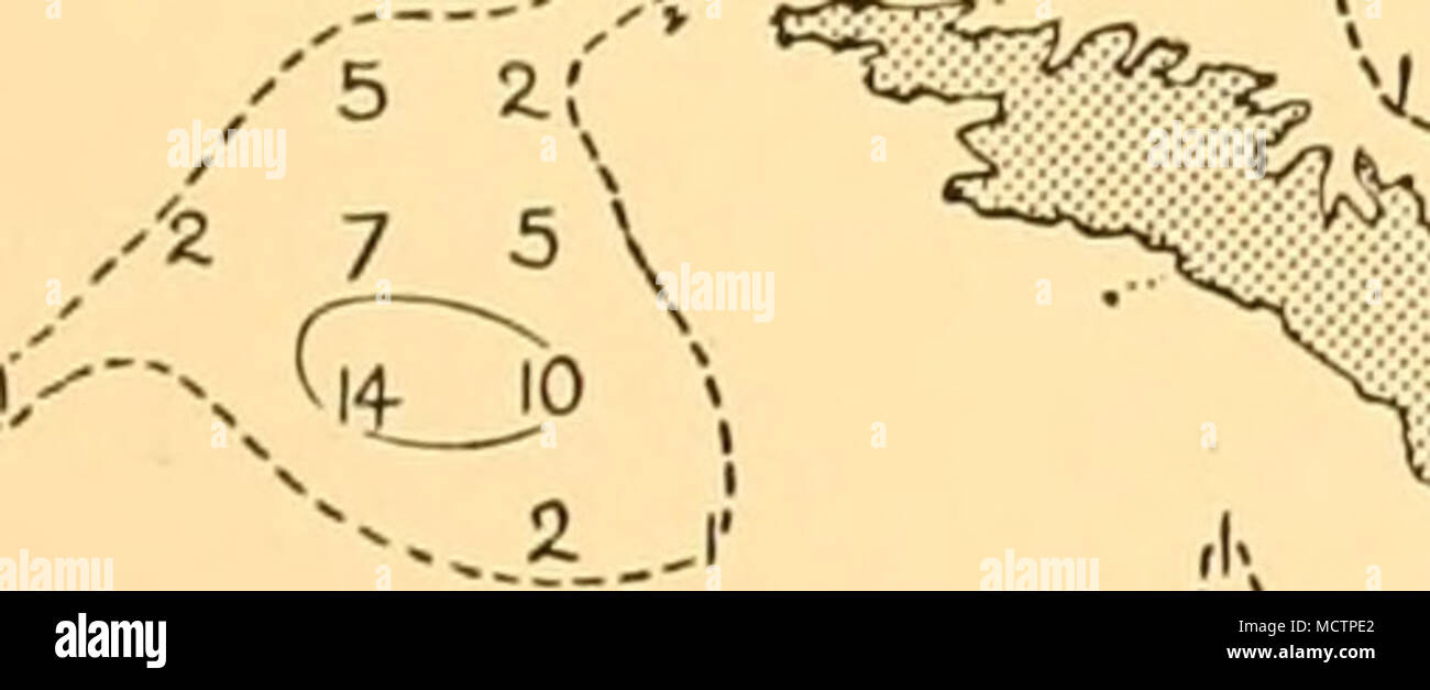 . 1929-1930 ^ -A04 588 ( (J) |33 J 33 ""- !Â ¢. rl N^fI 6 I I 3 2) -U 49 I 3..JI-' .â &Lt ; !) )36 |25(20) , 10|. 'IâL ^ ^J X x y NT â '3) 0 ' i, y "-s v^V â A K N1&gt ; M ! 4 Z- (, ;'/ 1930-1 &lt;X : :|5 Fig. 142. La répartition des rorquals communs en février de huit saisons consécutives (de Kemp et Bennett, 1932). Banque D'Images