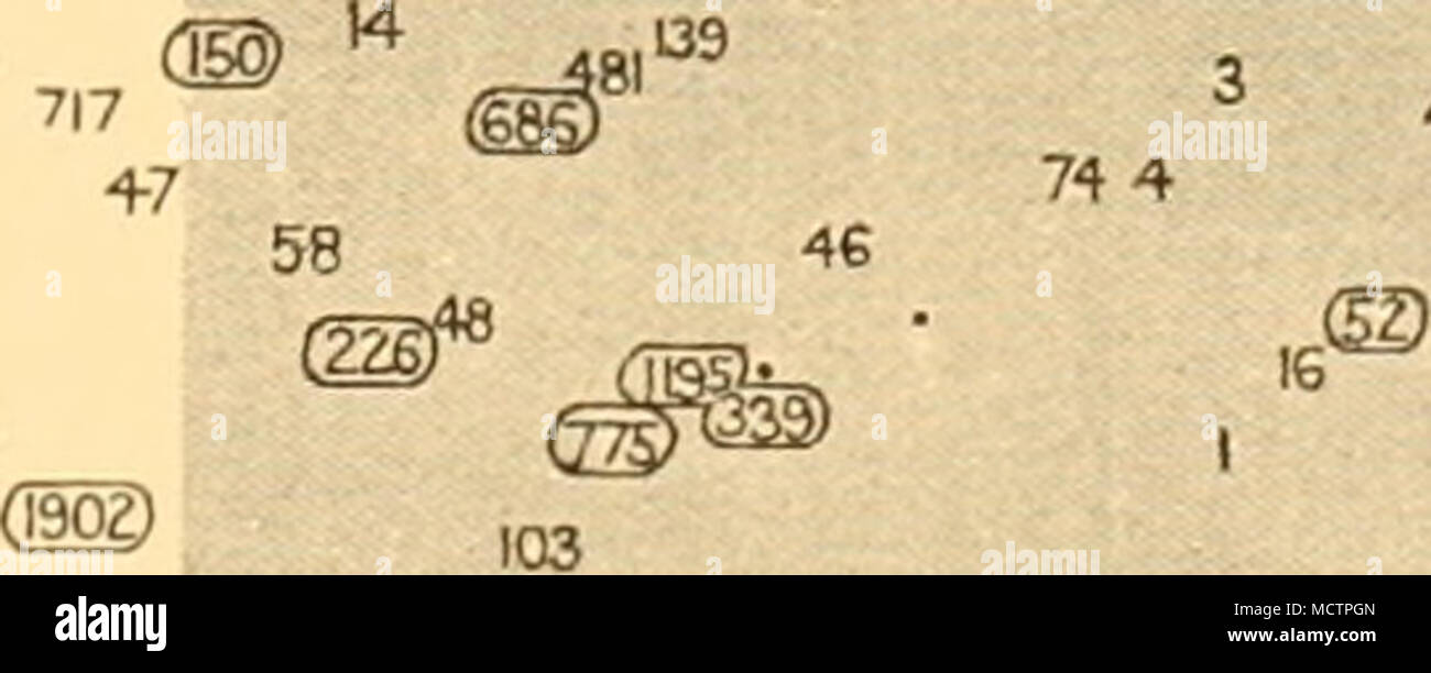 . 41 (Déclarations© 18 319 2218 Â Â ¢®, 2"*&gt ; 174 Â®Z&amp;34 SB1 QjS) ( @3149 &lt;M) 97 13 26 x . Fig. no. Tableau montrant la répartition en profondeur des diurnes Oithona frigida. L'arrangement du graphique est similaire à celle décrite dans la légende de la Fig. 99. Banque D'Images