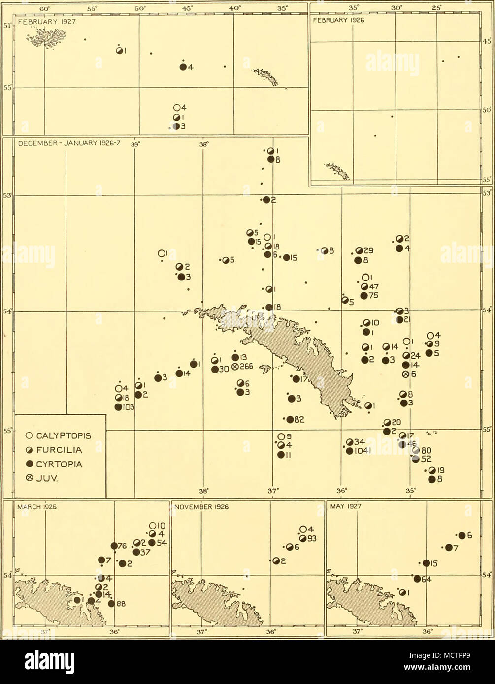 . Fig. 91. Des graphiques montrant la répartition des larves prises dans l'Euphausia frigida N 70 V filets dans l 1926-7 enquêtes. Pour les conditions hydrologiques et de phytoplancton voir Figs. 2, 6, 7, 8, 38, 39 et 41. Banque D'Images