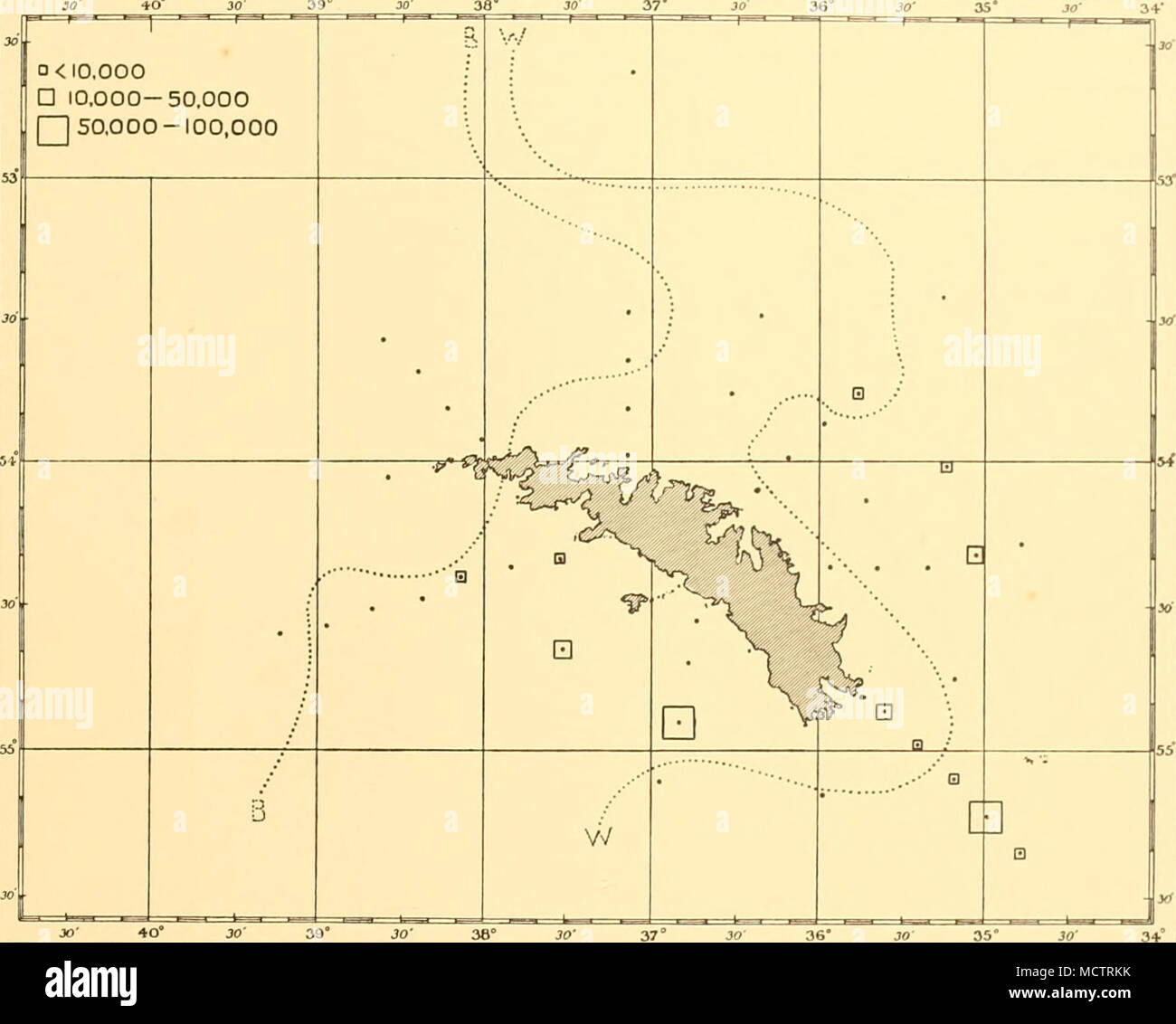 . Fig. 29. Distribution des Biddulphia striata round Géorgie du Sud dans l'enquête de décembre-janvier 1926-7 pour l'explication complète voir la légende de la Fig. 16. Synedra. Spaihulata Synedra, Schimper, a été rencontré à chaque côté de l'île mais seulement en petit nombre. Elle a été prise à la suite d'affectation : WS 36, 38, 39 WS WS, WS 43, WS44, WS45 et WS 51. Thalassiothrix. L'antarctique, Thalassiothrix Schimper, était abondant à St 12 sur la ligne près de la Géorgie du Sud de Tristan da Cunha, en février 1926, où elle a été prise au nombre de 4 600 000 de la N 70 V net utilisé à partir de 50 m. à la surface. Entre Banque D'Images
