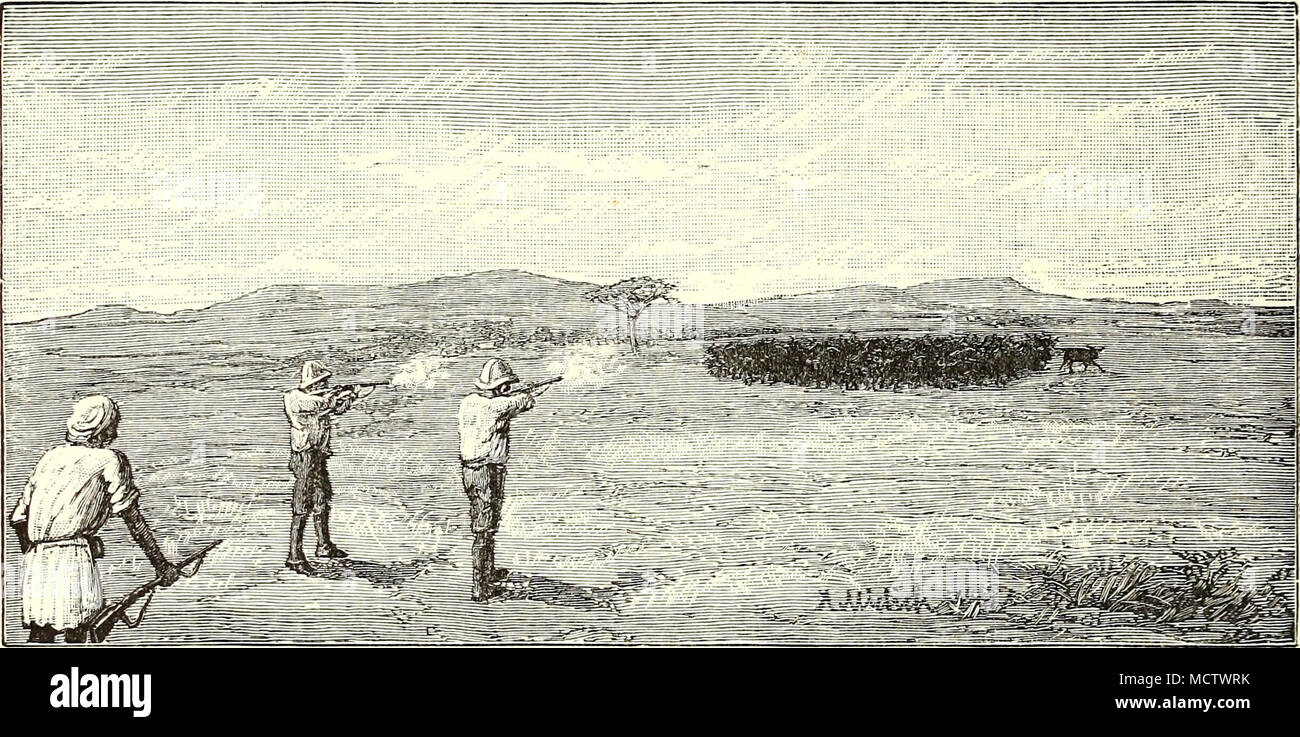 . BUFFALO LA CHASSE SUR L'GUASO NYUKI.-nous d'une autre direction, nous avons renoncé à la suite de notre carrière pour le présent. Cette deuxième troupeau progressé rapidement sur nous, bien que le terrain entre nous et eux était plat comme une grange, et c'était un beau spectacle de voir les énormes bêtes déménagement sur comme une puissante phalange noire. Nous sommes restés parfaitement immobile jusqu'à ce qu'ils se trouvaient à moins de 200 pas d'entre nous, lorsqu'ils se ralentirent peu à peu, évidemment tout à fait à une perte pour faire sur le sens de l'apparition inhabituelle. Nous avons attendu jusqu'à ce qu'ils ont encore un autre cinquante pas plus près, puis, pensant qu'il temps pour nous-mêmes, bestir f Banque D'Images