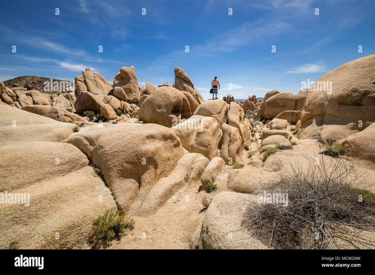 Camping les Roches Jumbo dans Joshua Tree National Park en Californie. Banque D'Images