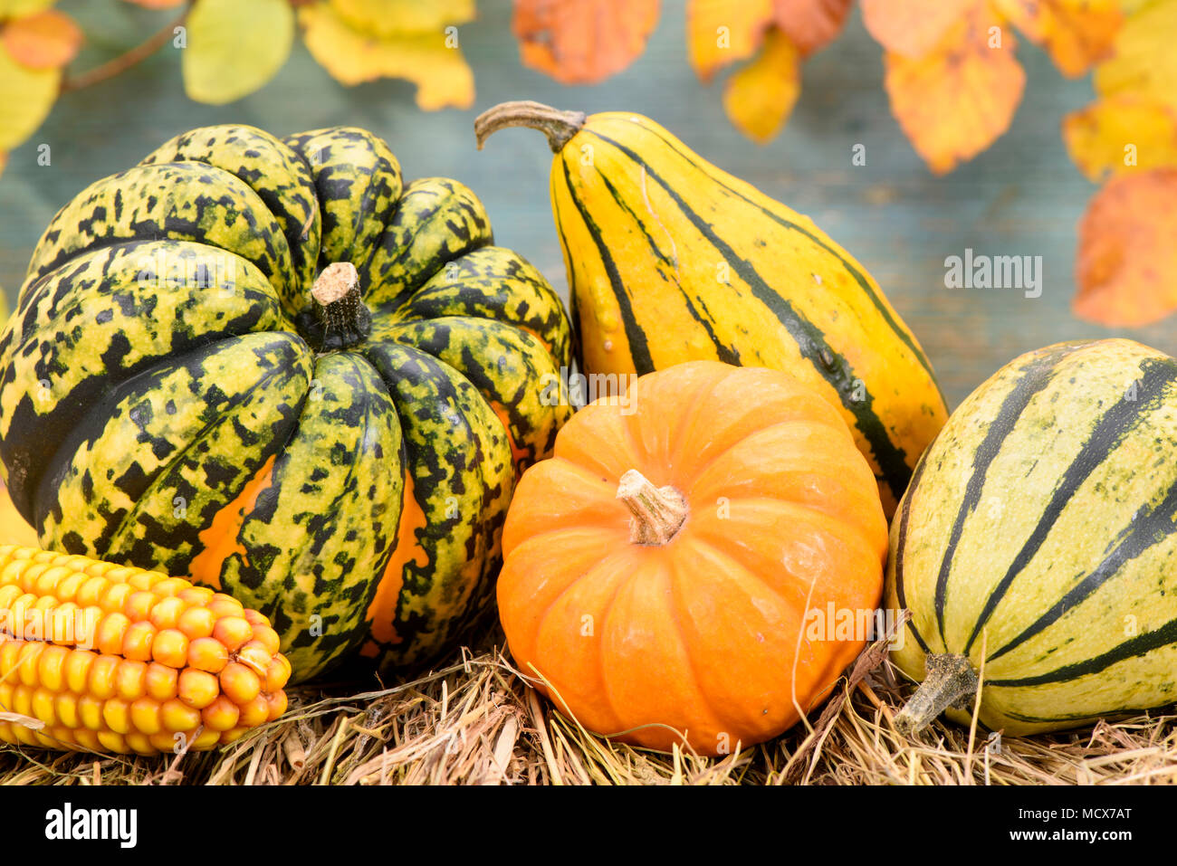 Automne décoration de citrouilles et feuilles Banque D'Images