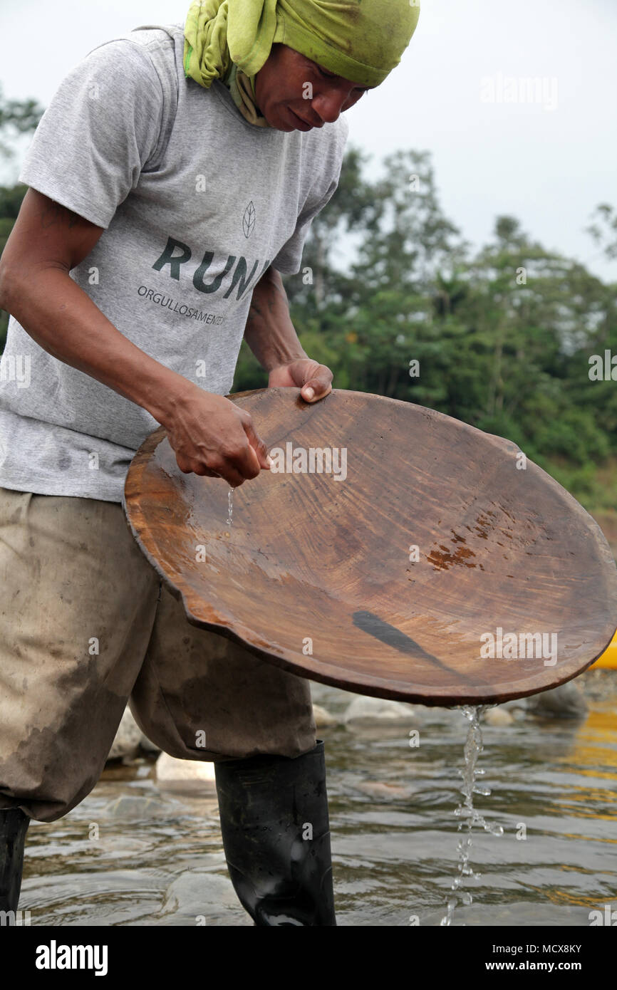 Gold Panner à Misahualli Rio Napo.la région amazonienne de l'Équateur Banque D'Images