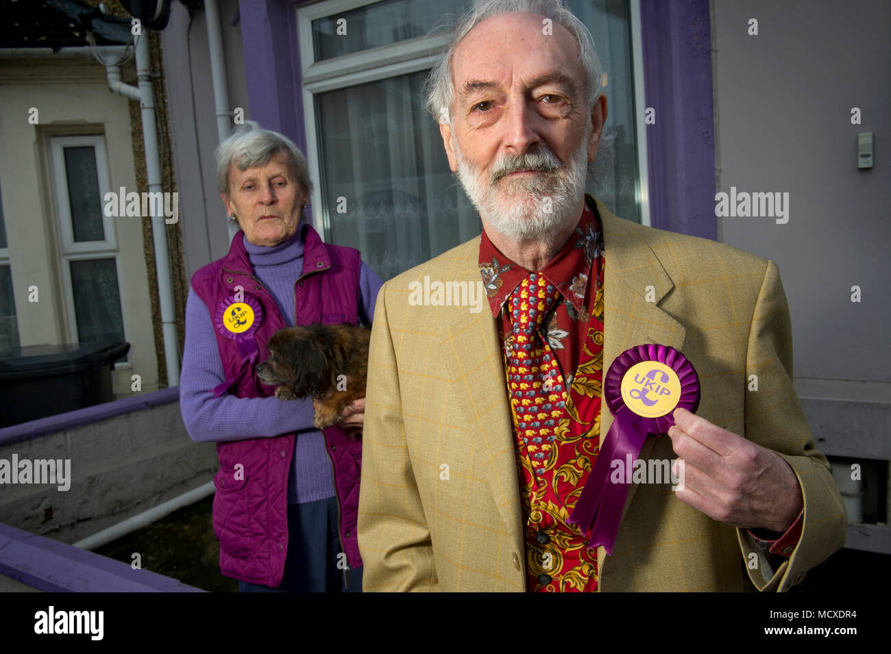 Aubrey & Sheila Attwater, mari et femme de l'UKIP candidats à Swindon Wiltshire, photographiés devant leur couleur pourpre (UKIP) painted house. Banque D'Images
