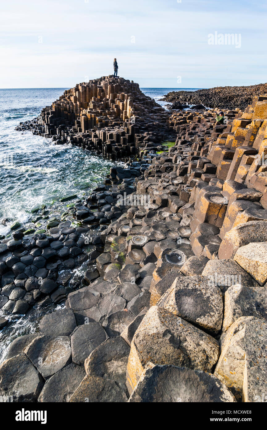 Giant's Causeway, l'Irlande du Nord, Royaume-Uni Banque D'Images